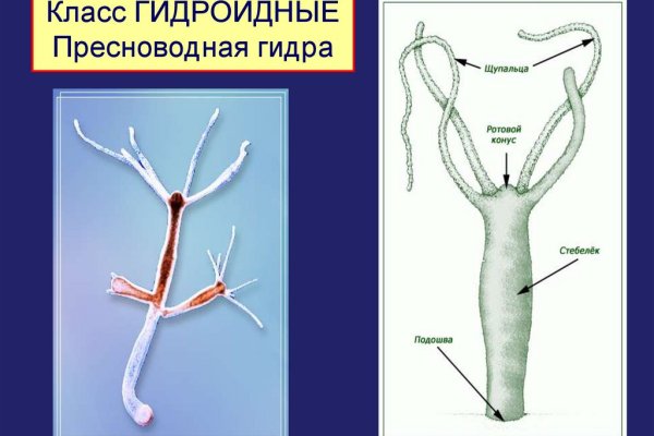 Нарко маркетплейс